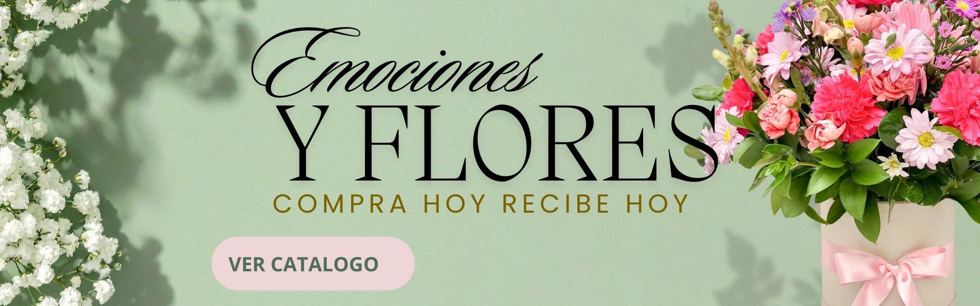 flores medellin|ramos florales